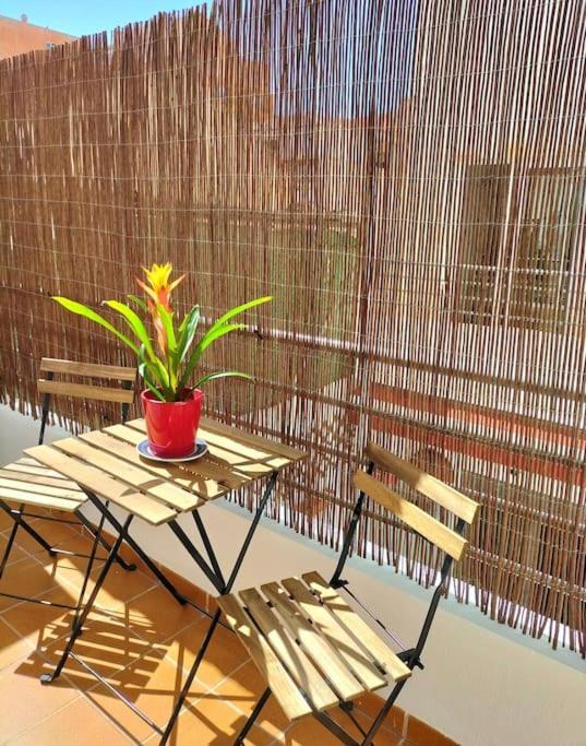 Estudio 52 Malaga Centrico Parking Gratuito Apartment Exterior photo