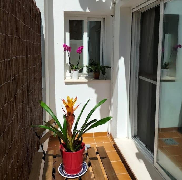 Estudio 52 Malaga Centrico Parking Gratuito Apartment Exterior photo